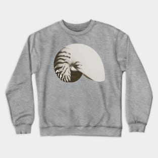 Nautilus Shell Crewneck Sweatshirt